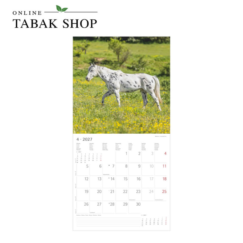 Alpha Edition Pferde Kalender 2027 als Wandkalender April