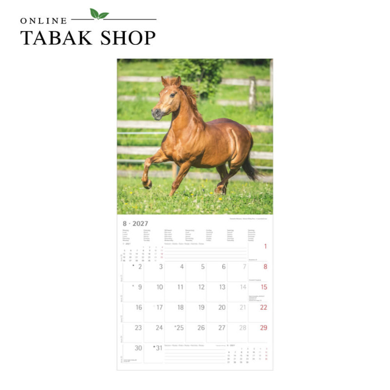 Alpha Edition Pferde Kalender 2027 als Wandkalender August