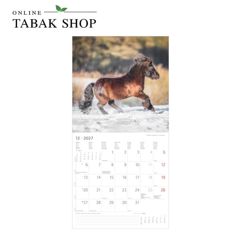 Alpha Edition Pferde Kalender 2027 als Wandkalender Dezember