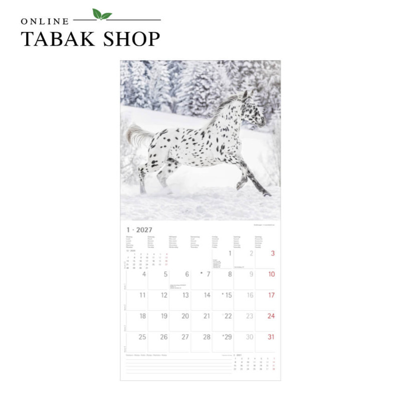 Alpha Edition Pferde Kalender 2027 als Wandkalender Januar