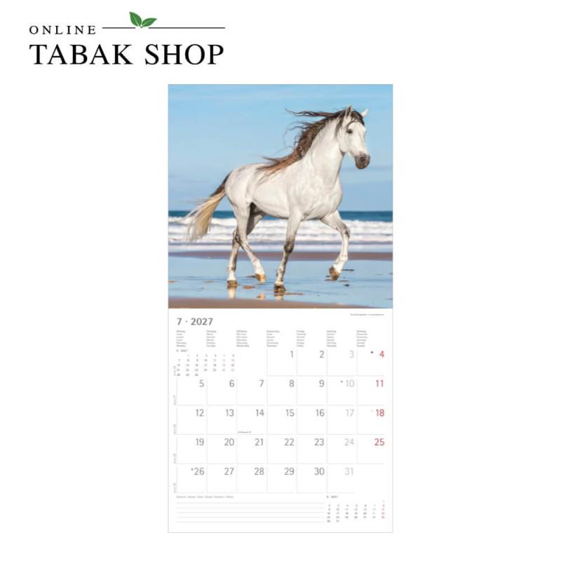 Alpha Edition Pferde Kalender 2027 als Wandkalender Juli