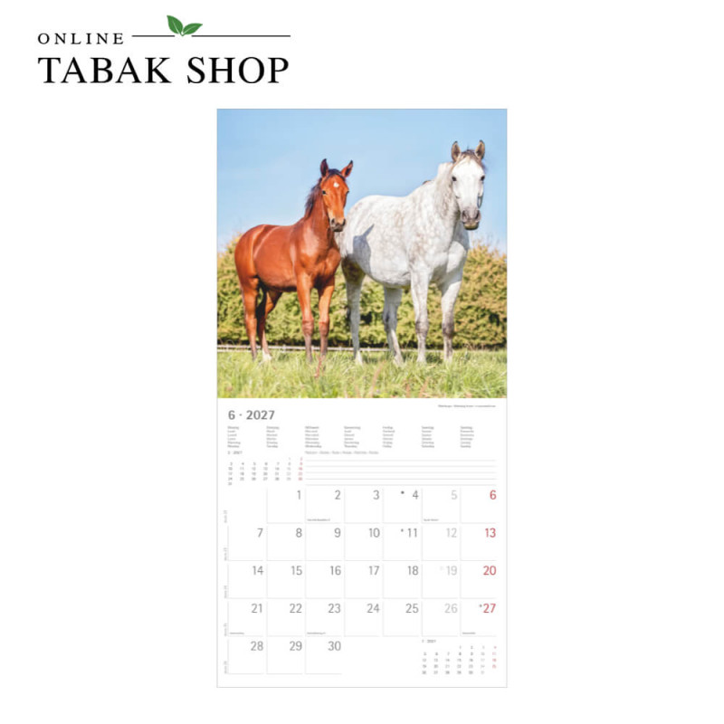 Alpha Edition Pferde Kalender 2027 als Wandkalender Juni