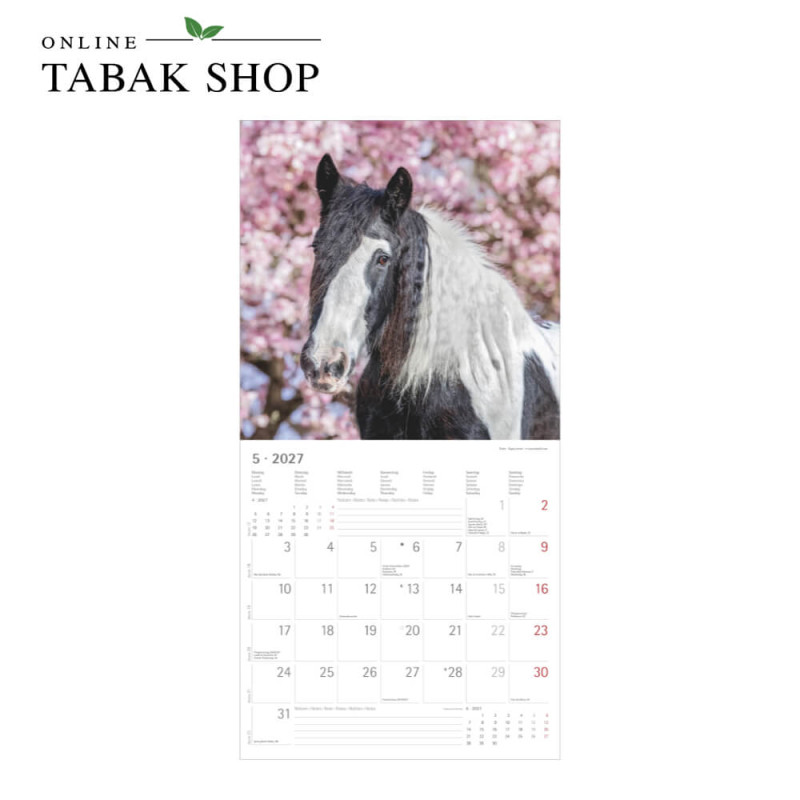 Alpha Edition Pferde Kalender 2027 als Wandkalender Mai