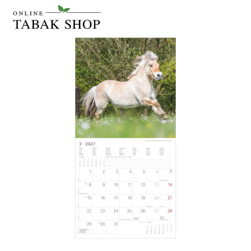 Alpha Edition Pferde Kalender 2027 als Wandkalender März