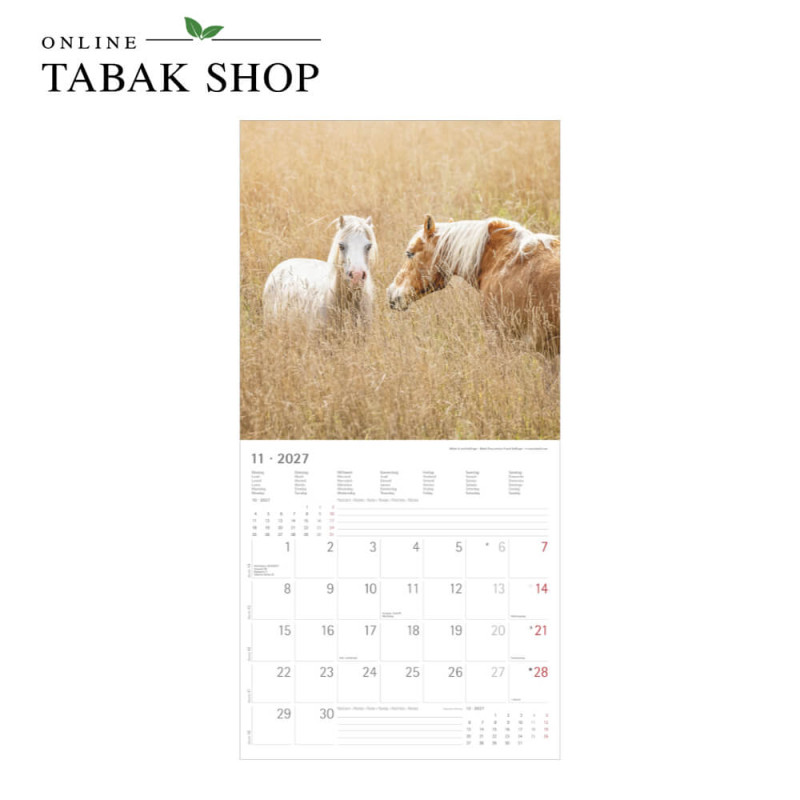 Alpha Edition Pferde Kalender 2027 als Wandkalender November