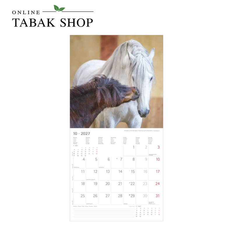 Alpha Edition Pferde Kalender 2027 als Wandkalender Oktober