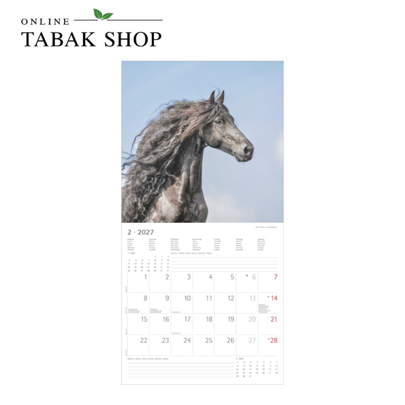 Alpha Edition Pferde Kalender 2027 als Wandkalender Februar