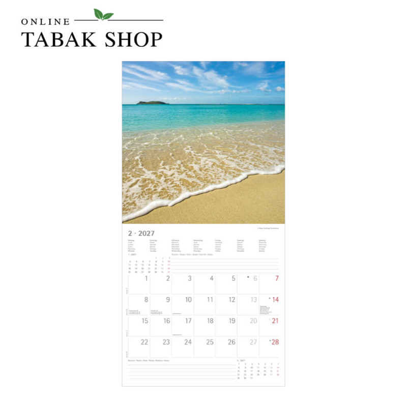 Alpha Edition Summer Dreams Kalender 2027 als Wandkalender Februar