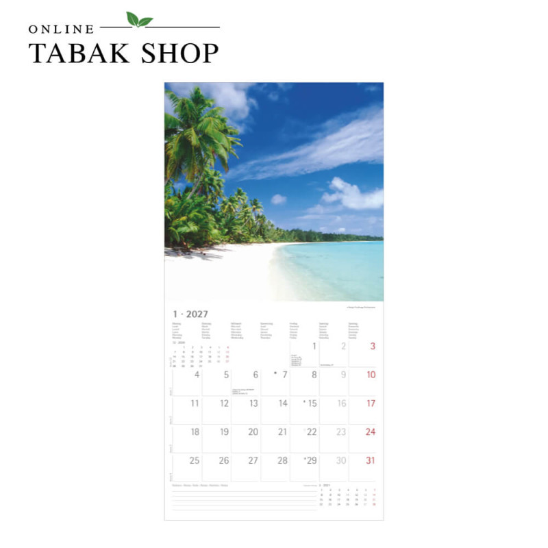 Alpha Edition Summer Dreams Kalender 2027 als Wandkalender Januar