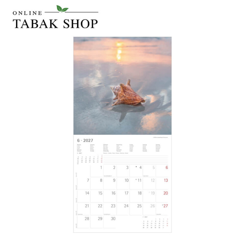 Alpha Edition Summer Dreams Kalender 2027 als Wandkalender Juni