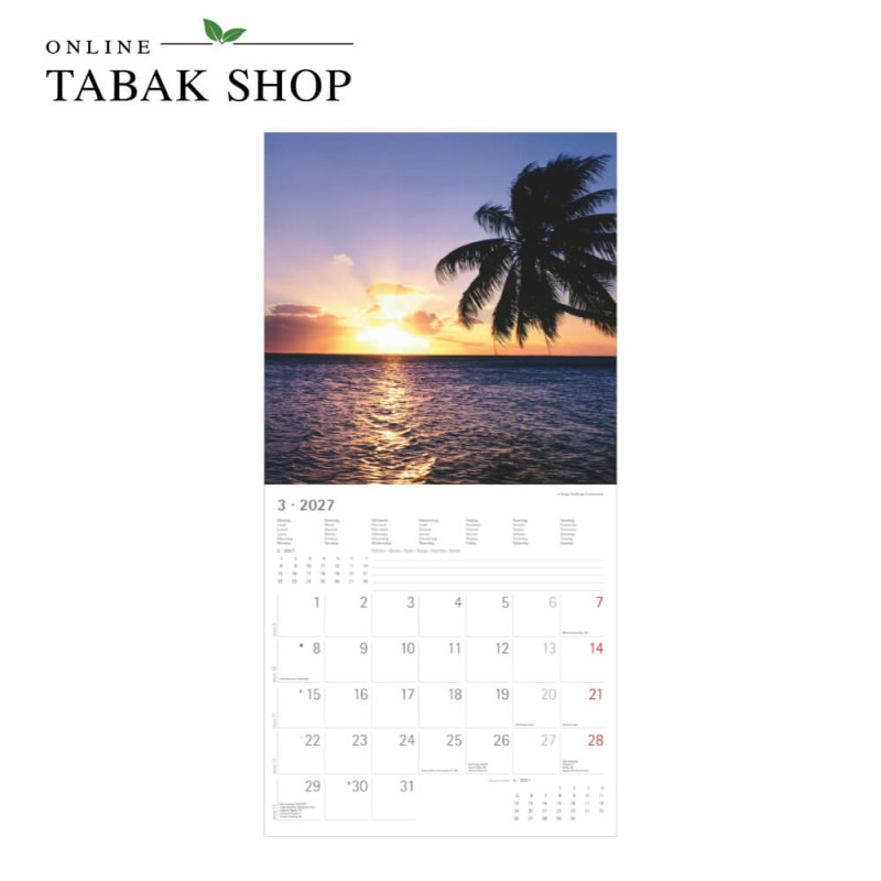 Alpha Edition Summer Dreams Kalender 2027 als Wandkalender März