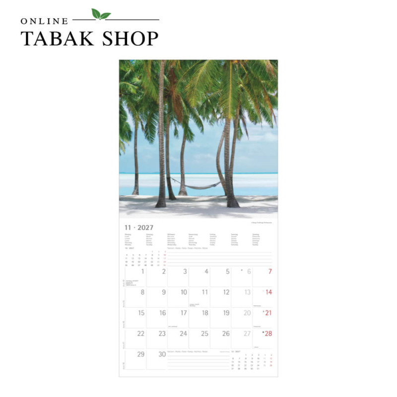 Alpha Edition Summer Dreams Kalender 2027 als Wandkalender November