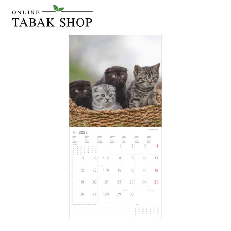 Alpha Edition Katzenkalender 2027 Samtpfötchen mit Poster April