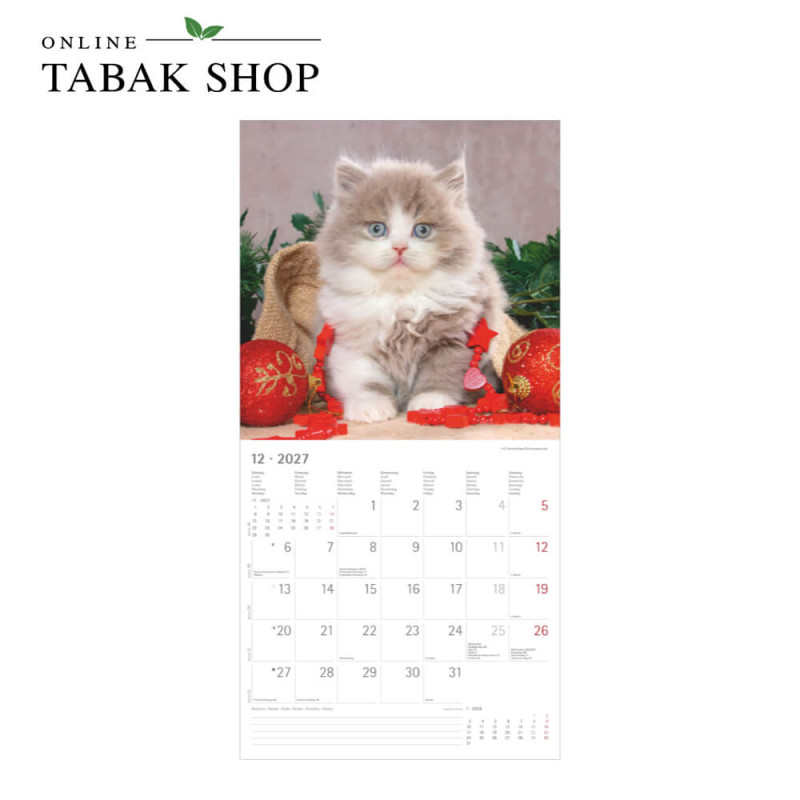 Alpha Edition Katzenkalender 2027 Samtpfötchen mit Poster Dezember