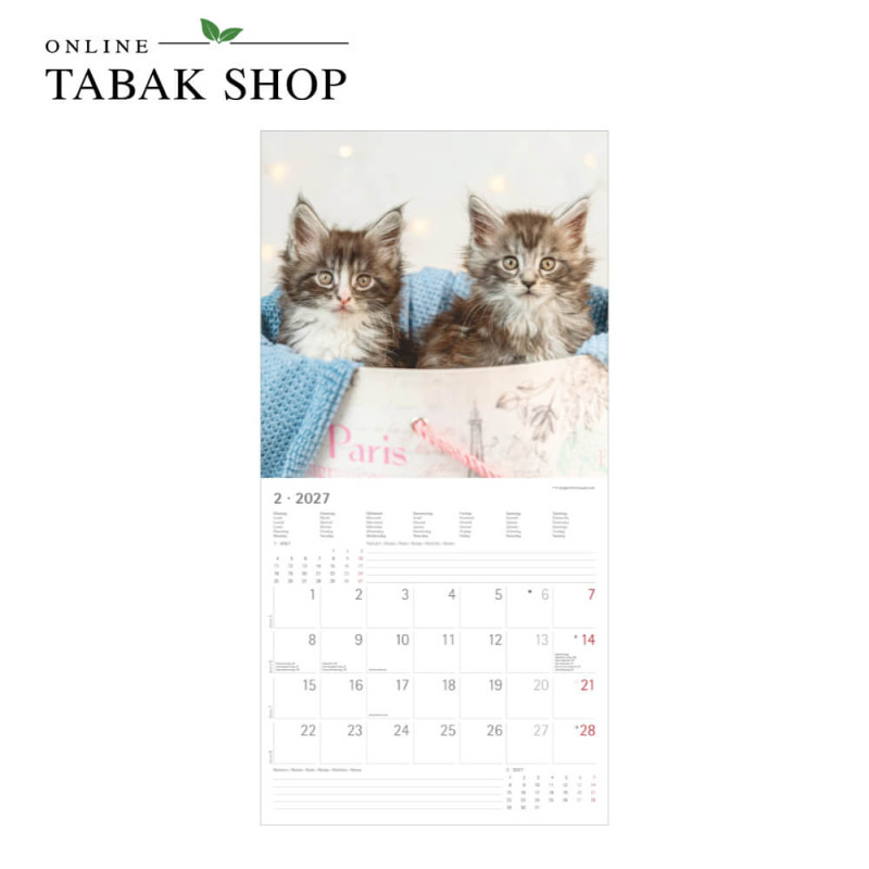 Alpha Edition Katzenkalender 2027 Samtpfötchen mit Poster Februar