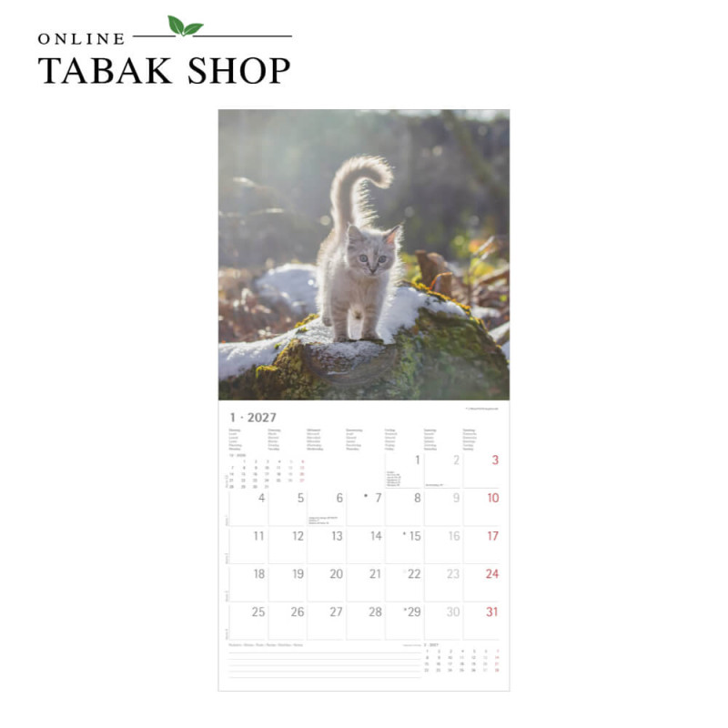 Alpha Edition Katzenkalender 2027 Samtpfötchen mit Poster Januar