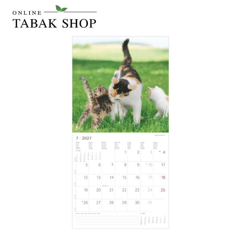 Alpha Edition Katzenkalender 2027 Samtpfötchen mit Poster Juli