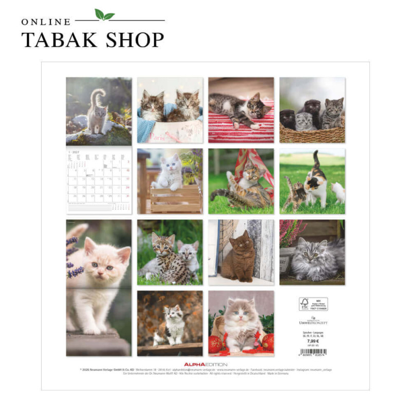 Alpha Edition Katzenkalender 2027 Samtpfötchen mit Poster Rückseite