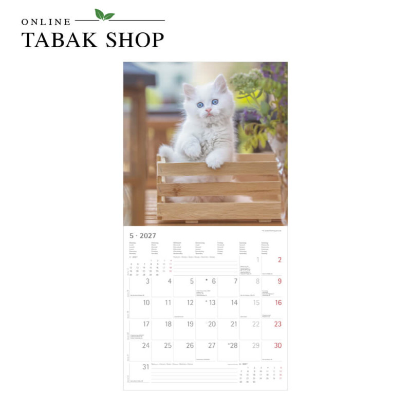 Alpha Edition Katzenkalender 2027 Samtpfötchen mit Poster Mai