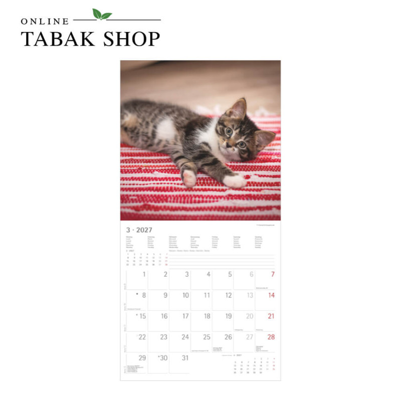 Alpha Edition Katzenkalender 2027 Samtpfötchen mit Poster März