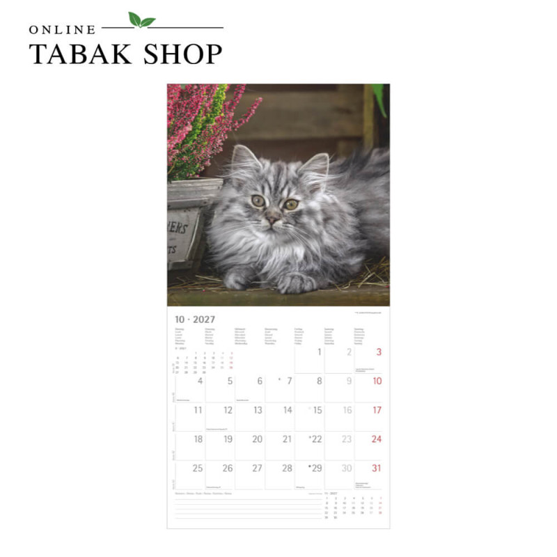 Alpha Edition Katzenkalender 2027 Samtpfötchen mit Poster Oktober