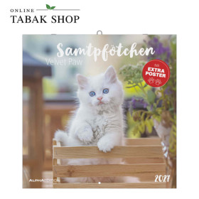 Alpha Edition Katzenkalender 2027 Samtpfötchen mit Poster
