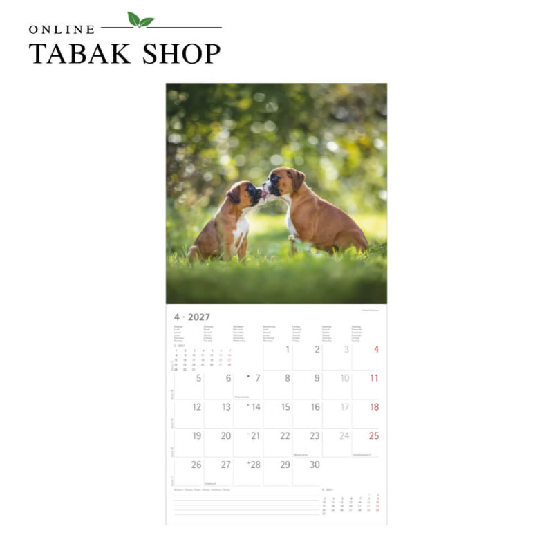 Alpha Edition Hunde Kalender 2027 als Wandkalender April