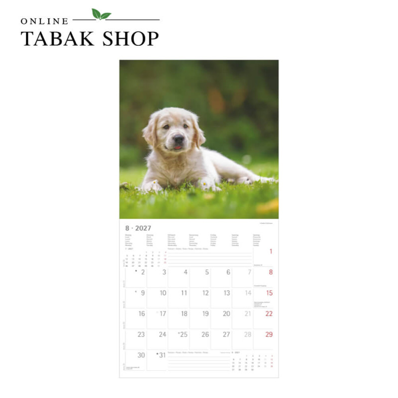 Alpha Edition Hunde Kalender 2027 als Wandkalender August