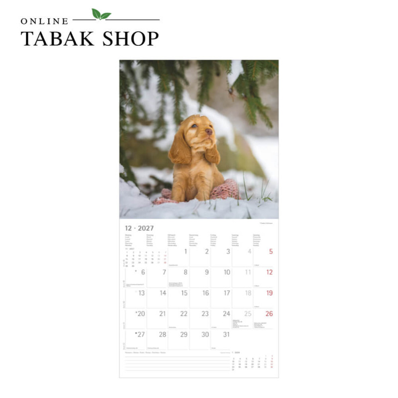 Alpha Edition Hunde Kalender 2027 als Wandkalender Dezember