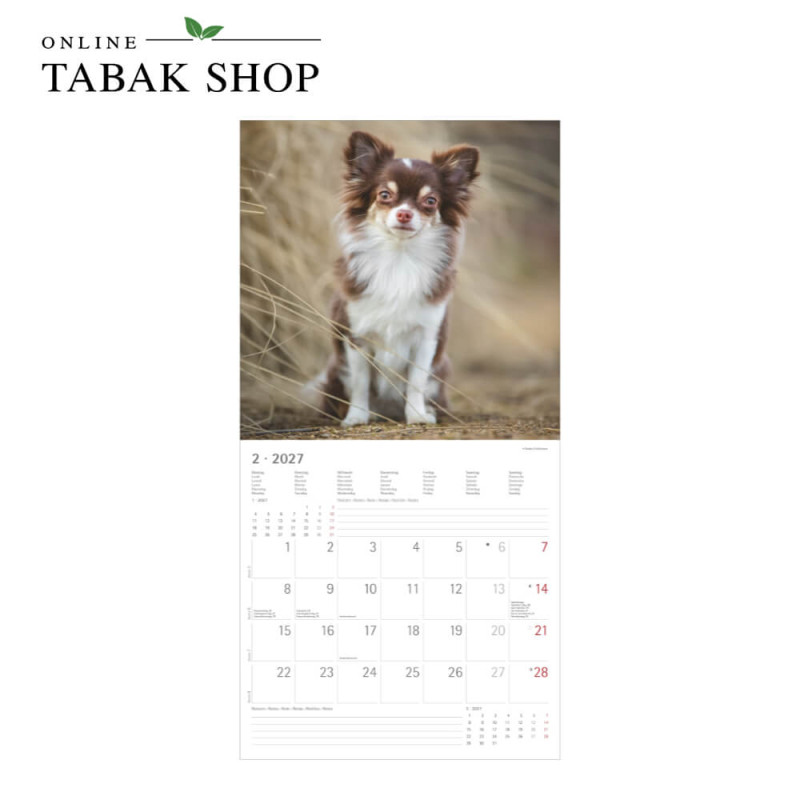 Alpha Edition Hunde Kalender 2027 als Wandkalender Februar