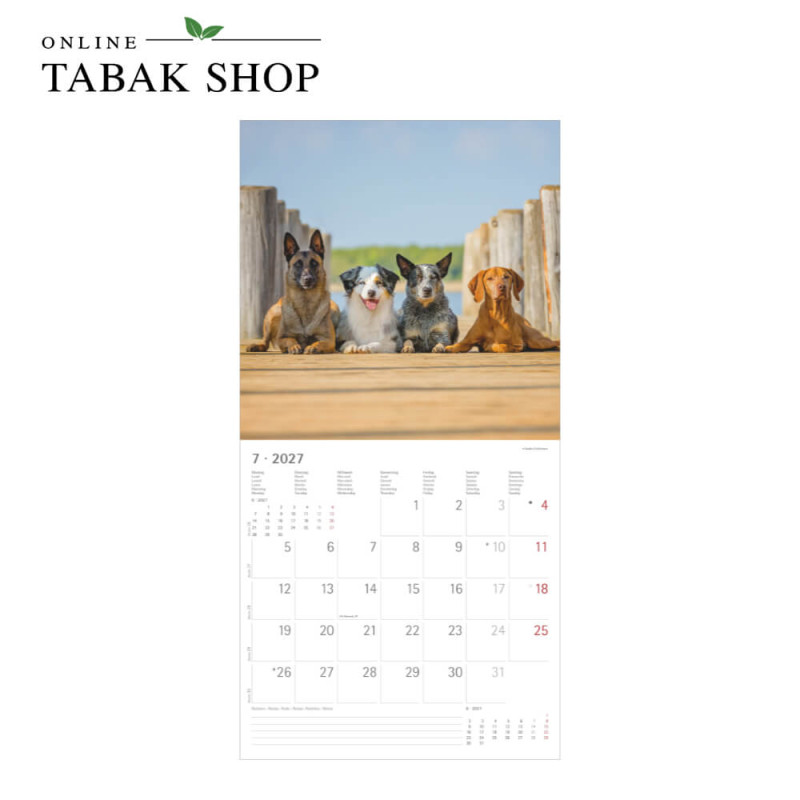 Alpha Edition Hunde Kalender 2027 als Wandkalender Juli