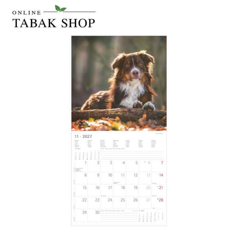 Alpha Edition Hunde Kalender 2027 als Wandkalender November