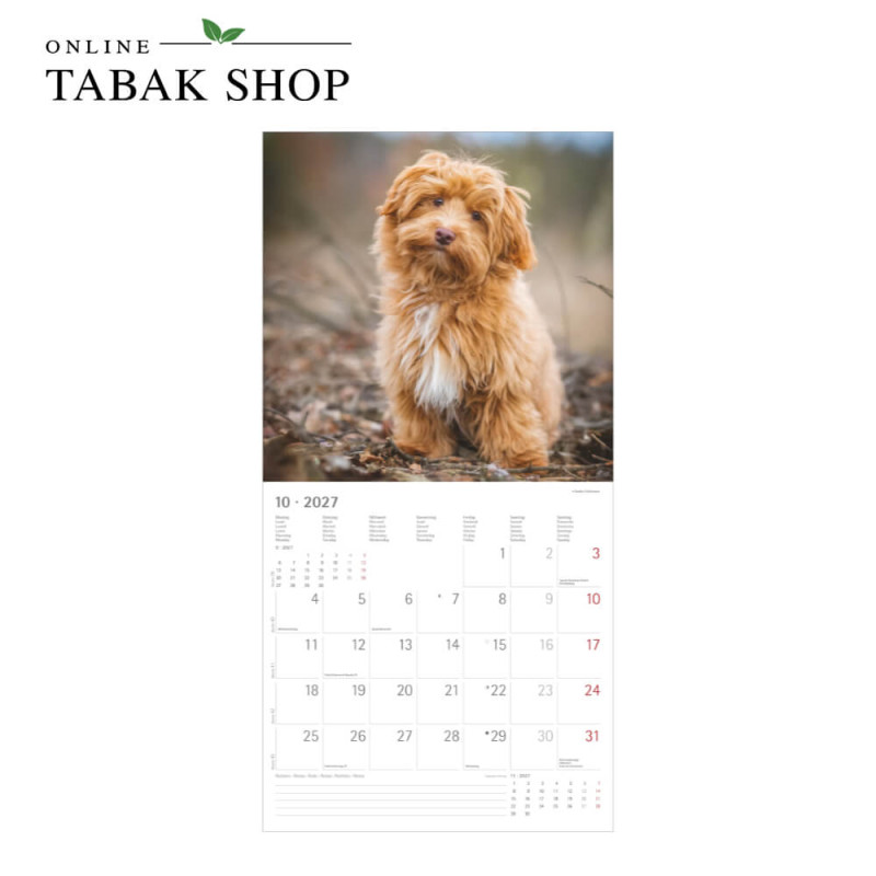 Alpha Edition Hunde Kalender 2027 als Wandkalender Oktober
