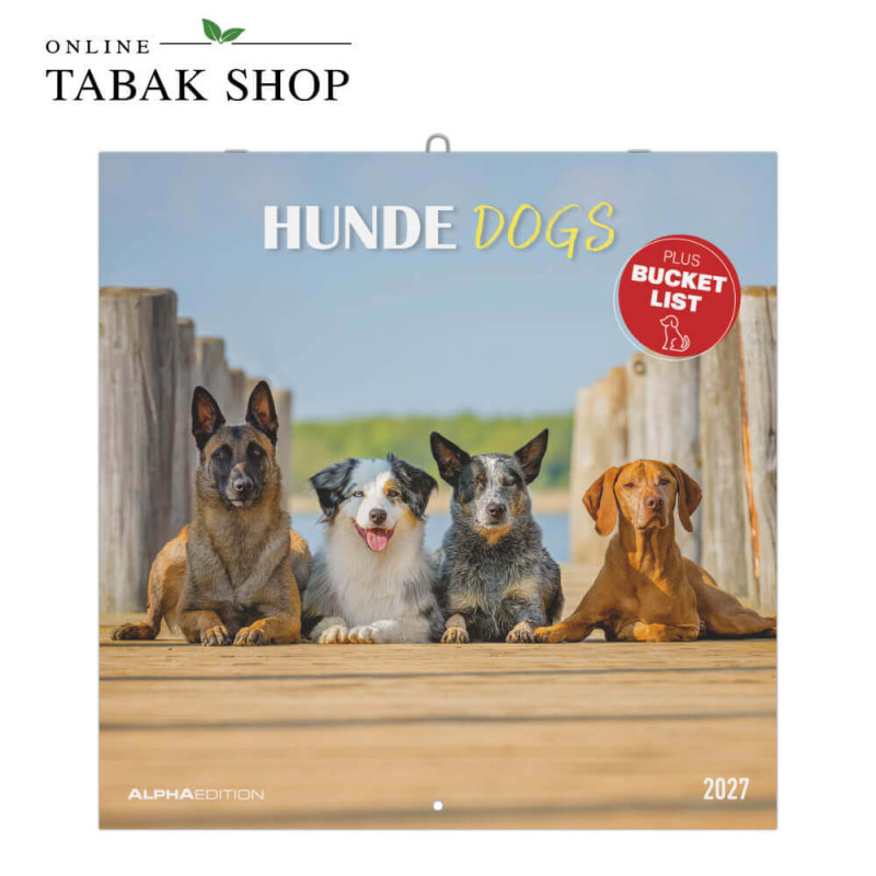 Alpha Edition Hunde Kalender 2027 als Wandkalender