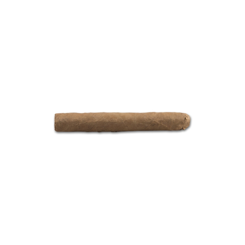 Mijn Klassiek Nederlands Corona Zigarren (25 Stück) 3