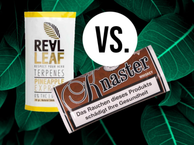 Real Leaf vs. Knaster: Tabakersatz im Vergleich